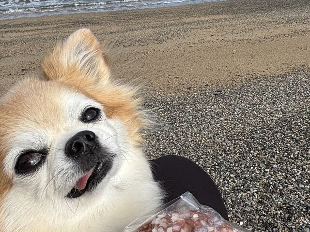 YȊCȂAOc̔Z݂邭~NV[Richׂ_Yml