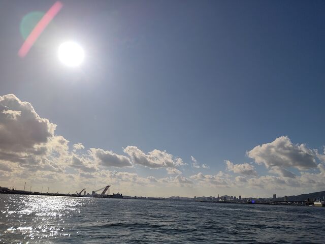 N[WO
ْ̑ǂ₲tR[XłB
{͂肪Ƃ܂B_}Z^[(ɌCm̈ ASHIYA MARINE CENTER)