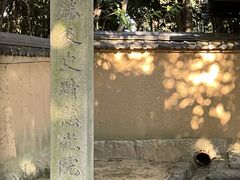 Shota����̎����@�ւ̓��e�ʐ^1