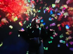 `[{tHXg -SBI،̎ʐ^2