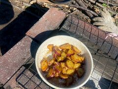 V̂񂳂񎩑R_ւ̓eʐ^1