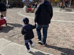 �~�b�R����̓ߐ{�n�C�����h�p�[�N�ւ̓��e�ʐ^1