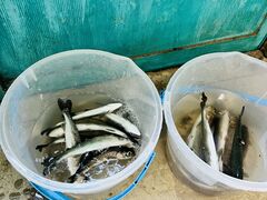 䂤̒ނxJtFN[o[̓eʐ^1