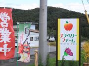 Ƃ񂳂̃ux[t@[( Oh_)̓eʐ^5