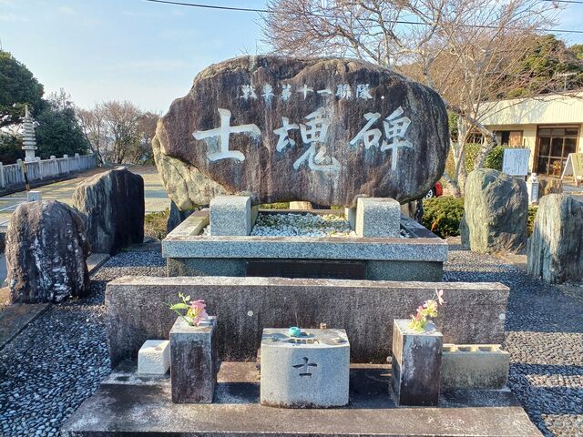 �̂�䂫����̎O�P���ω��̓��e�ʐ^2