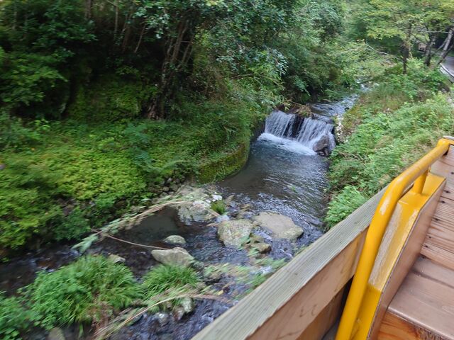 �n�H�X�ѓS���ƃC���N���C��