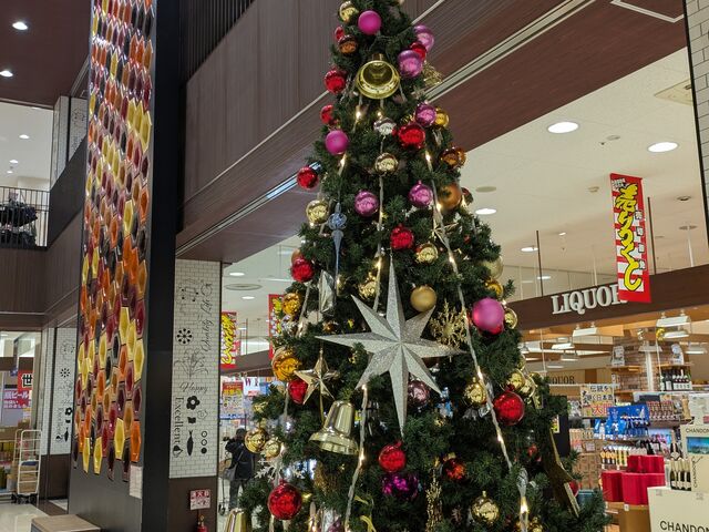 �X�y�C���̕ǂƃN���X�}�X�c���[_���V�d���@���É������X