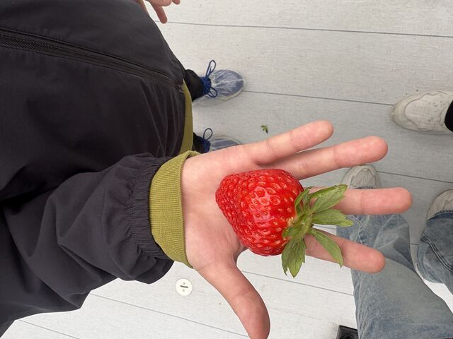 ���w4�N����̂Ђ�T�C�Y_Lien Ferme(�������_��)