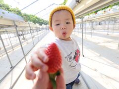 �炮�ǂ��肳��̂�����_���ւ̓��e�ʐ^1