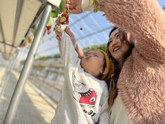 ������_���̎ʐ^2