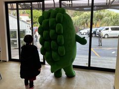 �M��o�i�i���j���̎ʐ^2