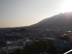 ������̎ʐ^2