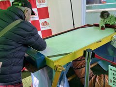 ��������R�c�̎ʐ^1