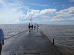 �����c�C���H�̎ʐ^1