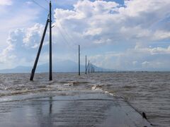 �������̒����c�C���H�ւ̓��e�ʐ^2