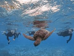 �_�C�u�Z���^�[OKKY�̎ʐ^1