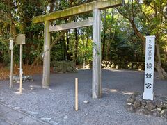 �`�P�{�̎ʐ^1