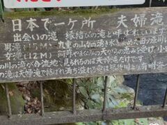 �䂩��񂱂���̕v�w��ւ̓��e�ʐ^1