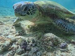 ����ς񂳂�̋{�Ó� ADVENTURE PiPi�ւ̓��e�ʐ^1