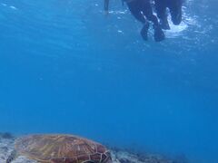 imtida�{�Ó��̎ʐ^1