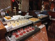 ��Ђ낳��̃K���V�b�v �z�e���j���[�I�[�^�j�����̓��e�ʐ^3