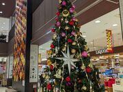 ������[����̃��V�d���@���É������X�̓��e�ʐ^3