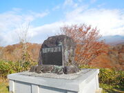 ���������݂�����̓��l���̓��e�ʐ^2