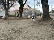 4�l�̂��[����񂳂�̍L��T�[�r�X�G���A ������̓��e�ʐ^1