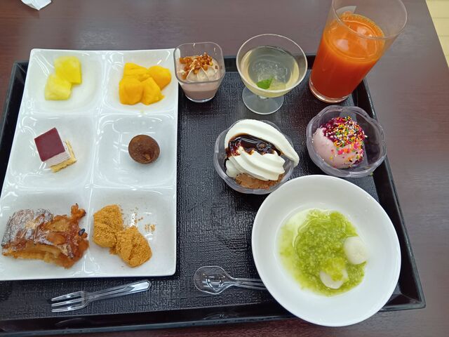 �f�U�[�g_��]�ˉ��򕨌� �܂���