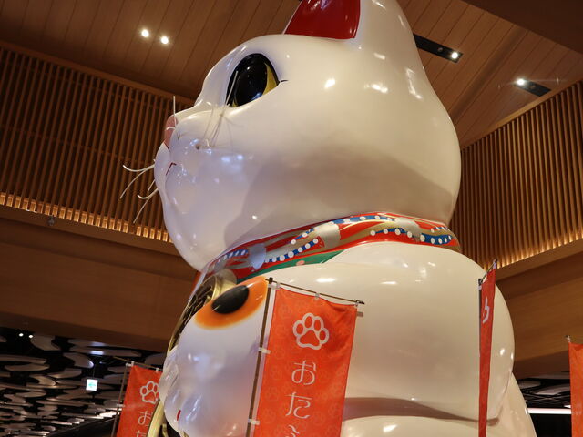 ������_�C�I�����[���튊