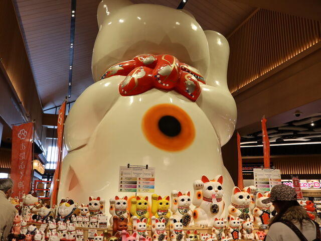 �w��ɂ͖����̏����L��_�C�I�����[���튊