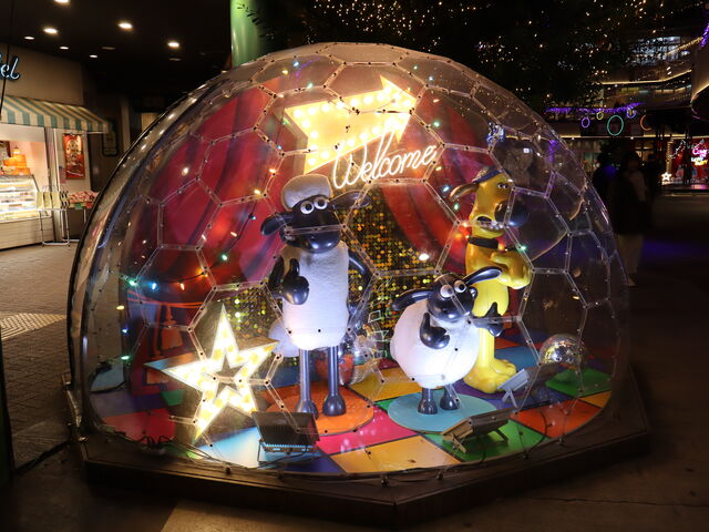 yosshy����̃A�X�i�����R�̓��e�ʐ^2