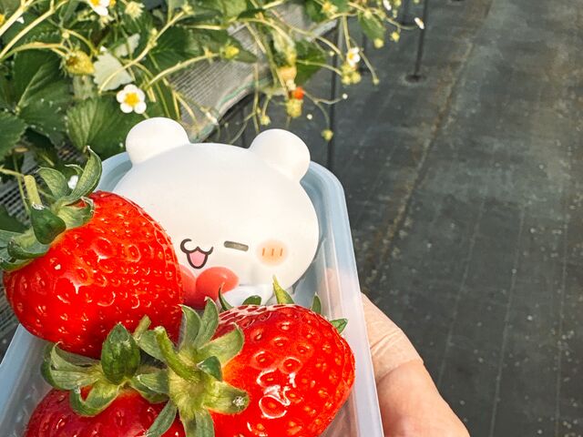 ��ڂ� ���ÁI_���т�������