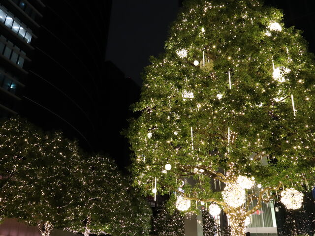 �f�G_�~�b�h�����h�X�N�G�A