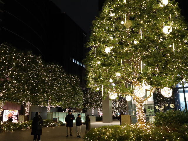 yosshy����̃~�b�h�����h�X�N�G�A�̓��e�ʐ^2