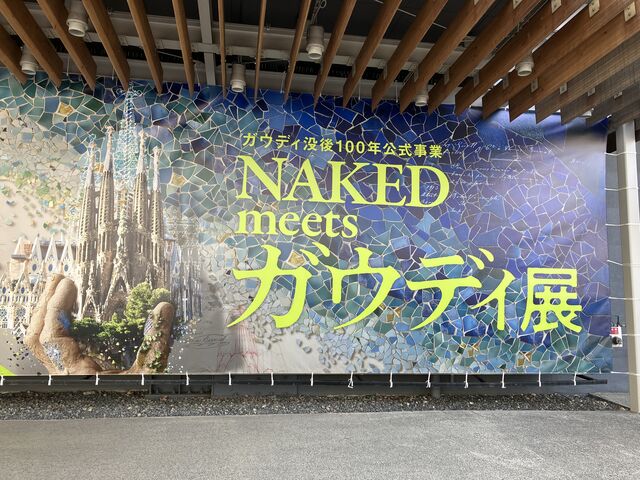 �K�E�f�C�W_NAKED meets �K�E�f�B�W