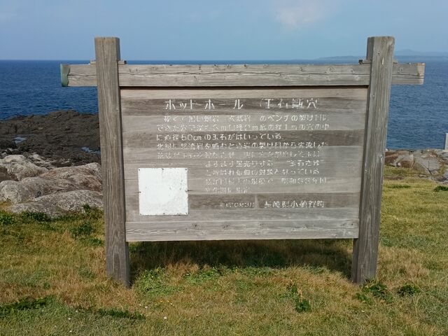 �|�b�g�z�[���̉���Ŕł��B_�|�b�g�z�[���i�ʐ��M���j