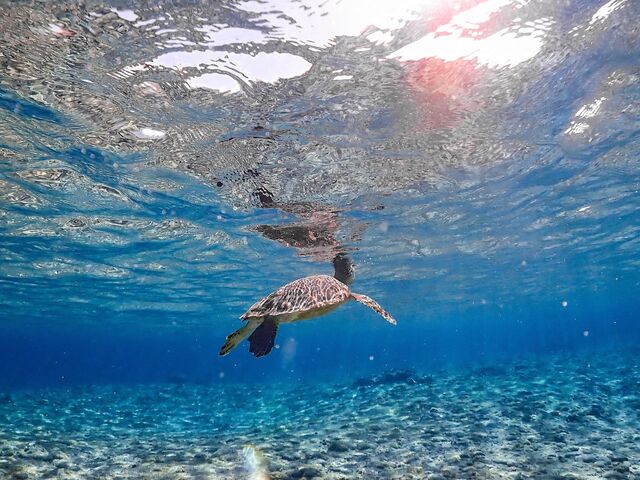 �A�I�E�~�K��_MONKEY NAVY