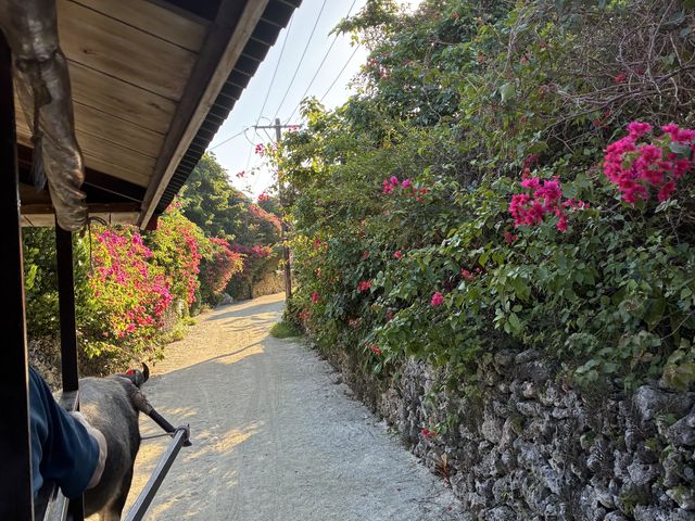 �ԑ�����_���d�R�ό��t�F���[