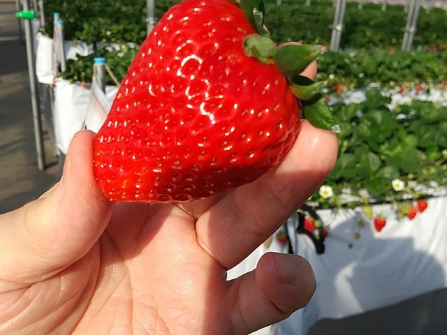 �嗱����R����܂��B_�|�|�̂�������