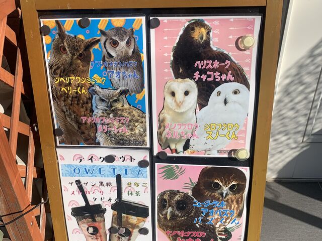 �^�s�I�J����_�Ó�ӂ��낤�M�������[