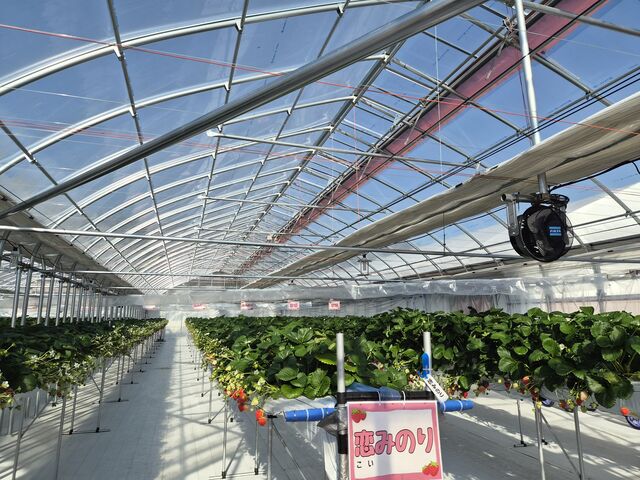 �낫����̂����ӂ��[�ނ̓��e�ʐ^2