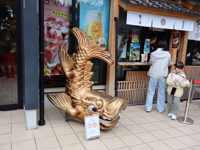 yosshy����̋��V���`���� �@�t�]�[���i����G���A�j�̓��e�ʐ^3