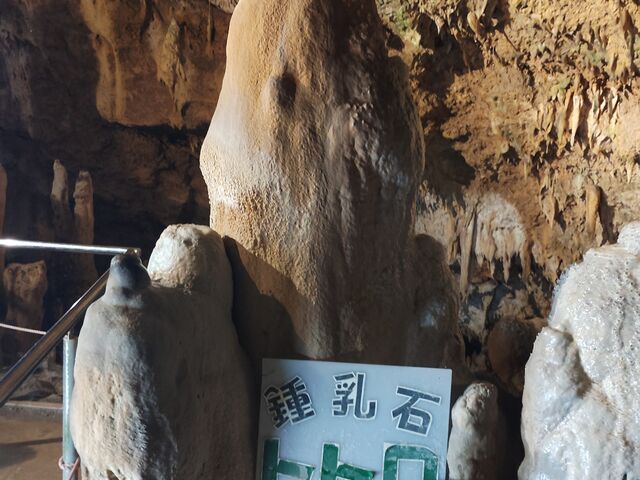 �����̃g�g���^�ߓ���_�Ί_���ߓ���