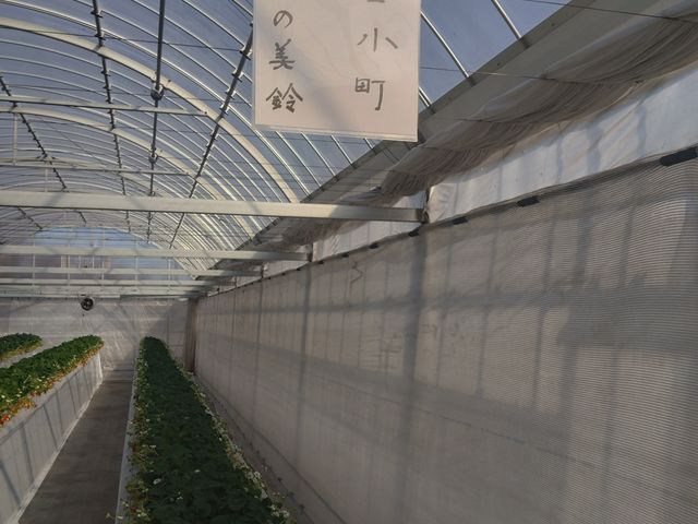 ���������_�}�߂�������