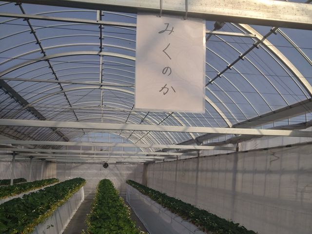 ���������_�}�߂�������