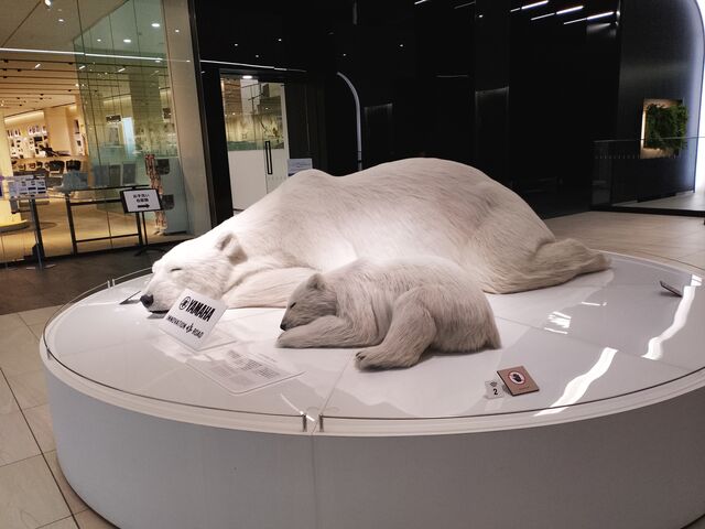 �����ɂȂ������F����e�q�B_���}�n������ЃC�m�x�[�V�������[�h