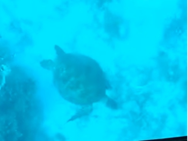 �E�~�K��_�܂��͂������邭��