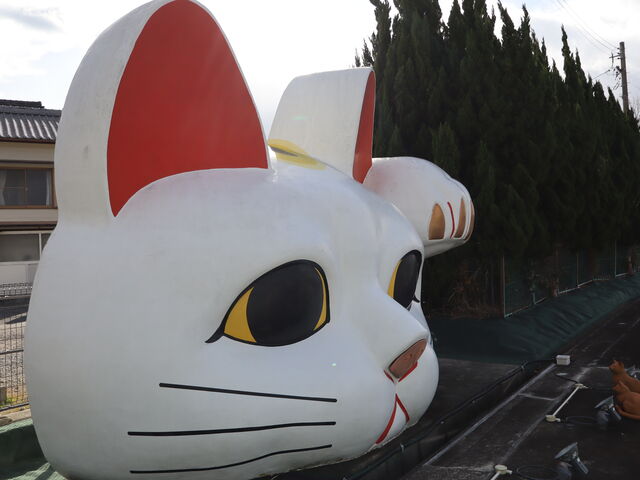 yosshy����̌����L�@�Ƃ��ɂ��̓��e�ʐ^5