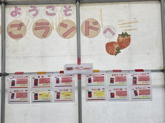 �{���̂��������X�g������܂���_�����������h